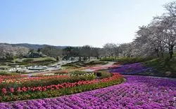 宮城のおすすめデートスポット！学生も大人もゆっくり過ごせる穴場を10選紹介