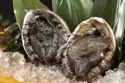 【アワビのやわらか食感！？】「食べるお宿 浜の湯」で奥深き"アワビ"をいただく。