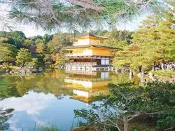【京都・奈良】あの頃を思い出して！大人の修学旅行♡