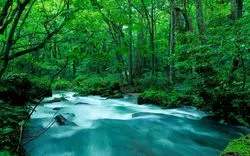 青森で観光！夏の避暑におすすめの1度は見たい絶景・グルメ14選
