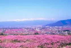 山梨《エリア別》冬の女子旅！都心アクセス良好なおすすめスポット&イベント11選！