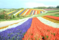 【週末女子旅】写真映えスポットコンプリート！初秋の北海道へ♪