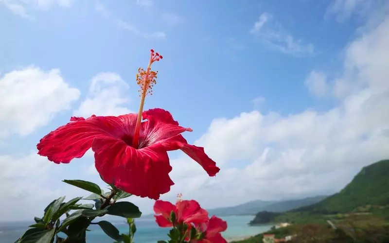 沖縄には格安で綺麗なおすすめ宿泊施設がたくさん◎ 1枚目