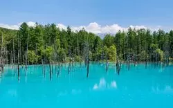 北海道の観光地30選！エリア別にそれぞれの魅力をご紹介します
