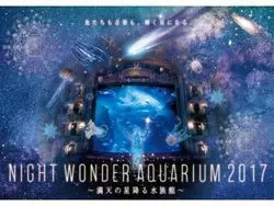 【新江ノ島水族館】「ナイトワンダーアクアリウム」について徹底解説♡