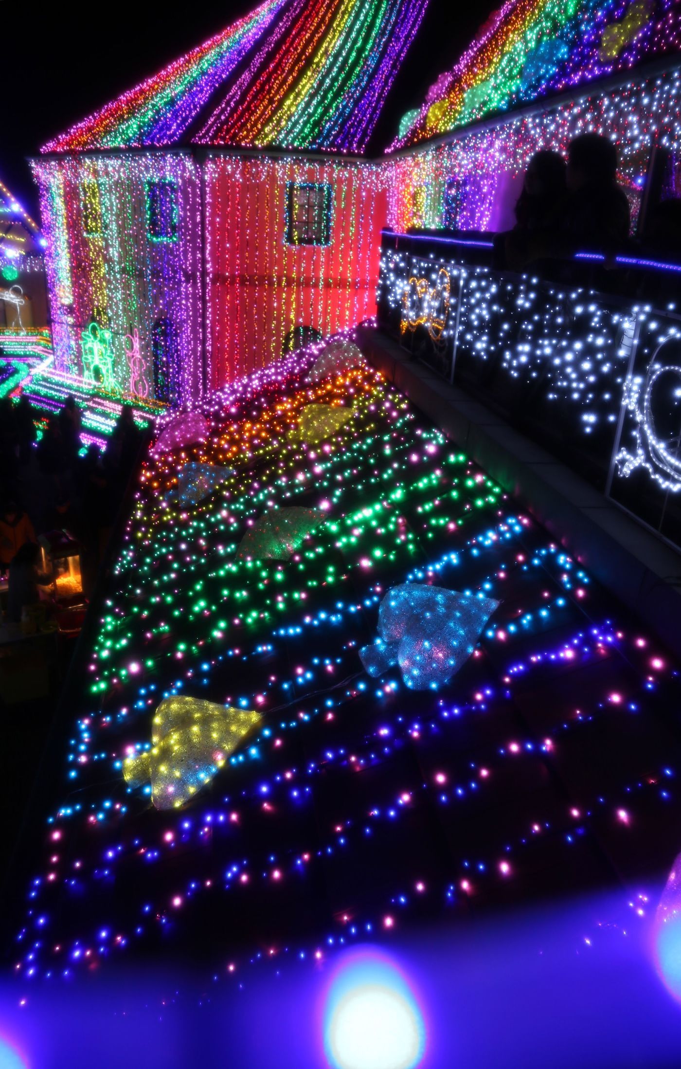 朝から遊べる！日本最大級イルミの東京ドイツ村♪の画像