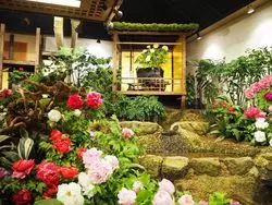 【境港･松江】観光したい穴場スポット☆鳥取･島根の県境街歩き！