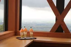 【佐賀】珍しい薬博物館で学んで、食べて♡充実の鳥栖ドライブ