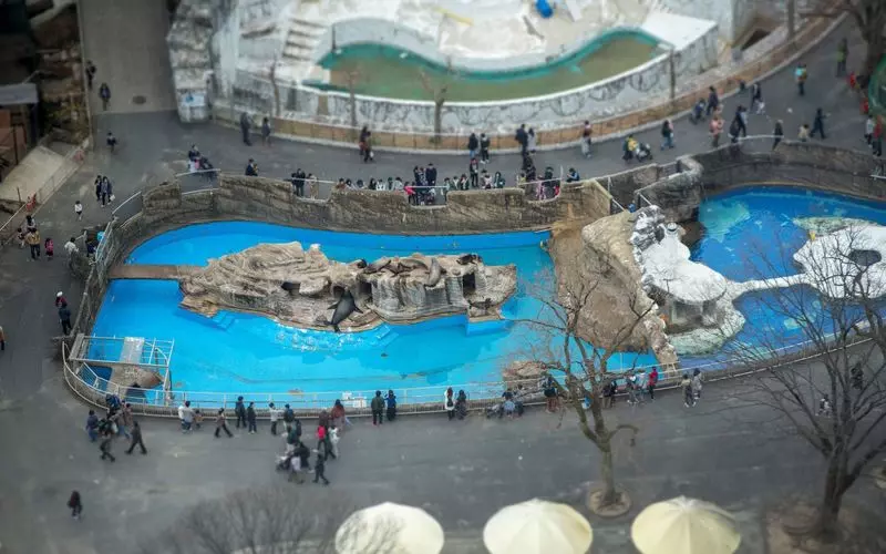 名古屋 デートや家族旅行におすすめ 東山動植物園 へ行こう Aumo アウモ