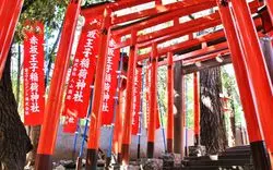 赤坂の由緒ある神社を巡る！いろんなご利益が期待できる神社6選♡