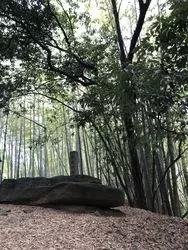 【奈良】古代ロマンあふれる♪明日香村で紅葉さんぽ&巨石巡り