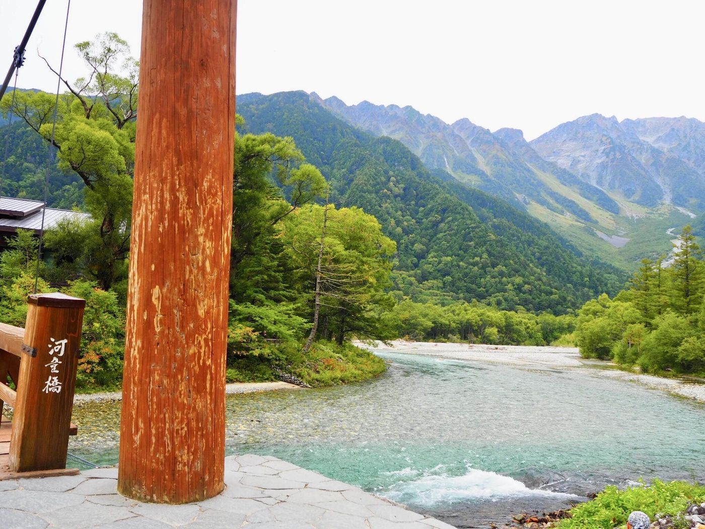 の画像