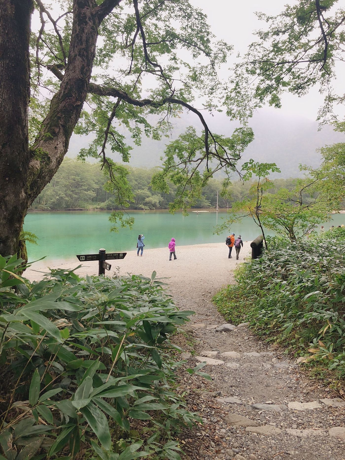 の画像