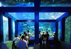 【三重】いろんな生き物に癒される♡飼育種日本イチの鳥羽水族館