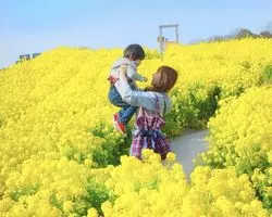 菜の花畑といったら！名古屋でインスタ映えする絶景スポット