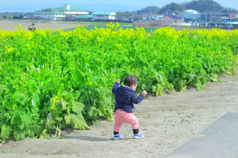 観光農園花ひろば 1枚目