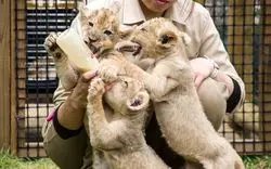 【東海】動物園で動物たちと触れ合おう♡家族や恋人と東海4県へ♪