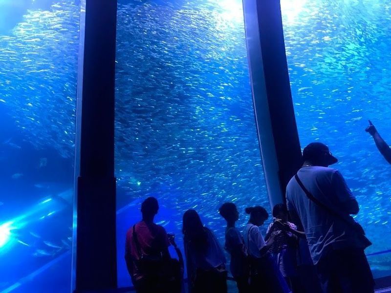 海育 施設で釣って食べよう 横浜 八景島シーパラダイス Aumo アウモ 海育 施設で釣って食べよう 横浜 八景島シーパラダイス Aumo アウモ