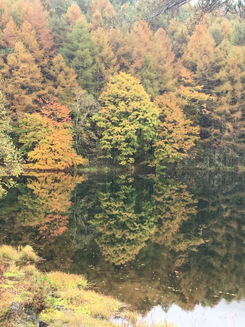 の画像