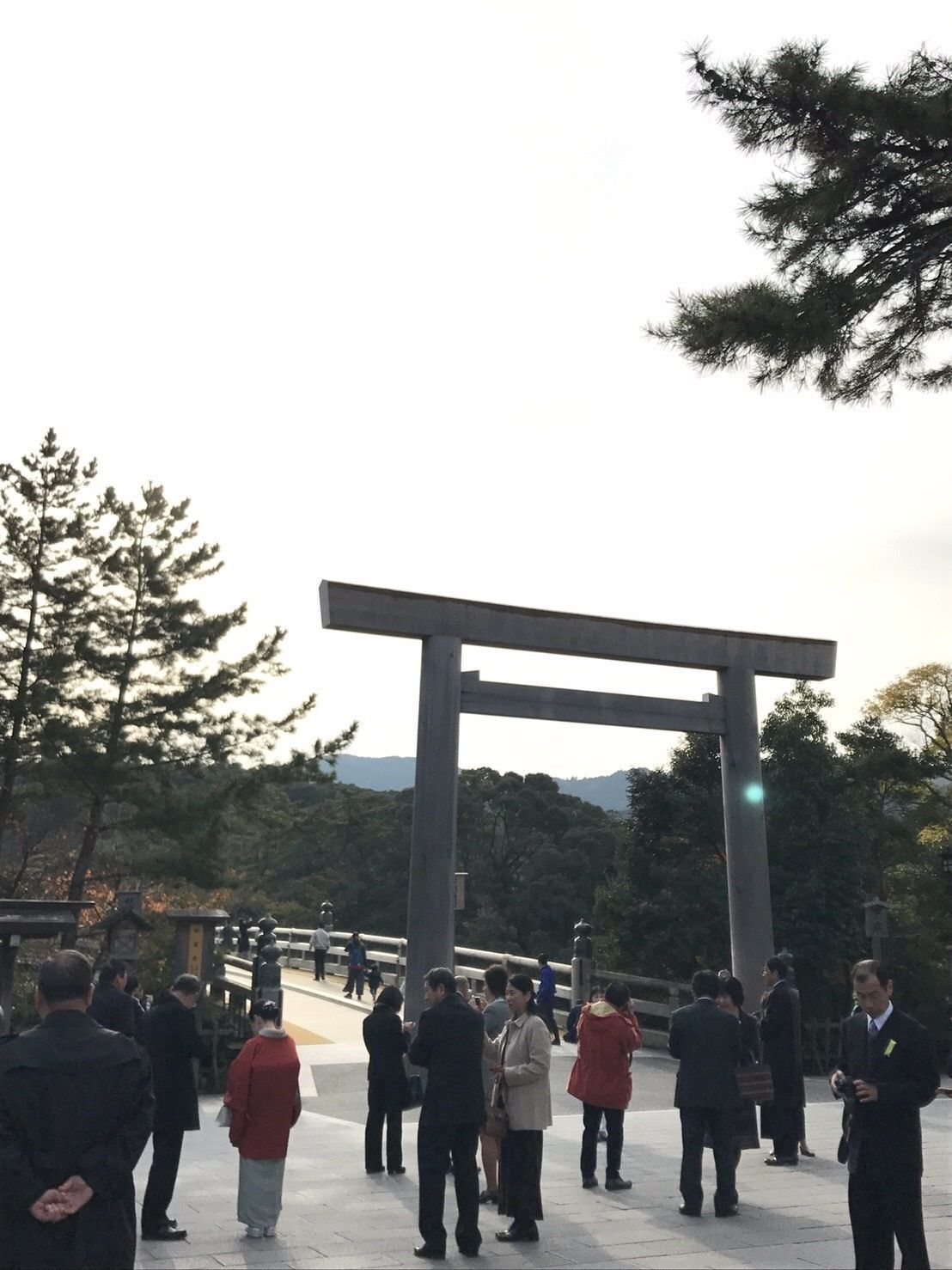 の画像