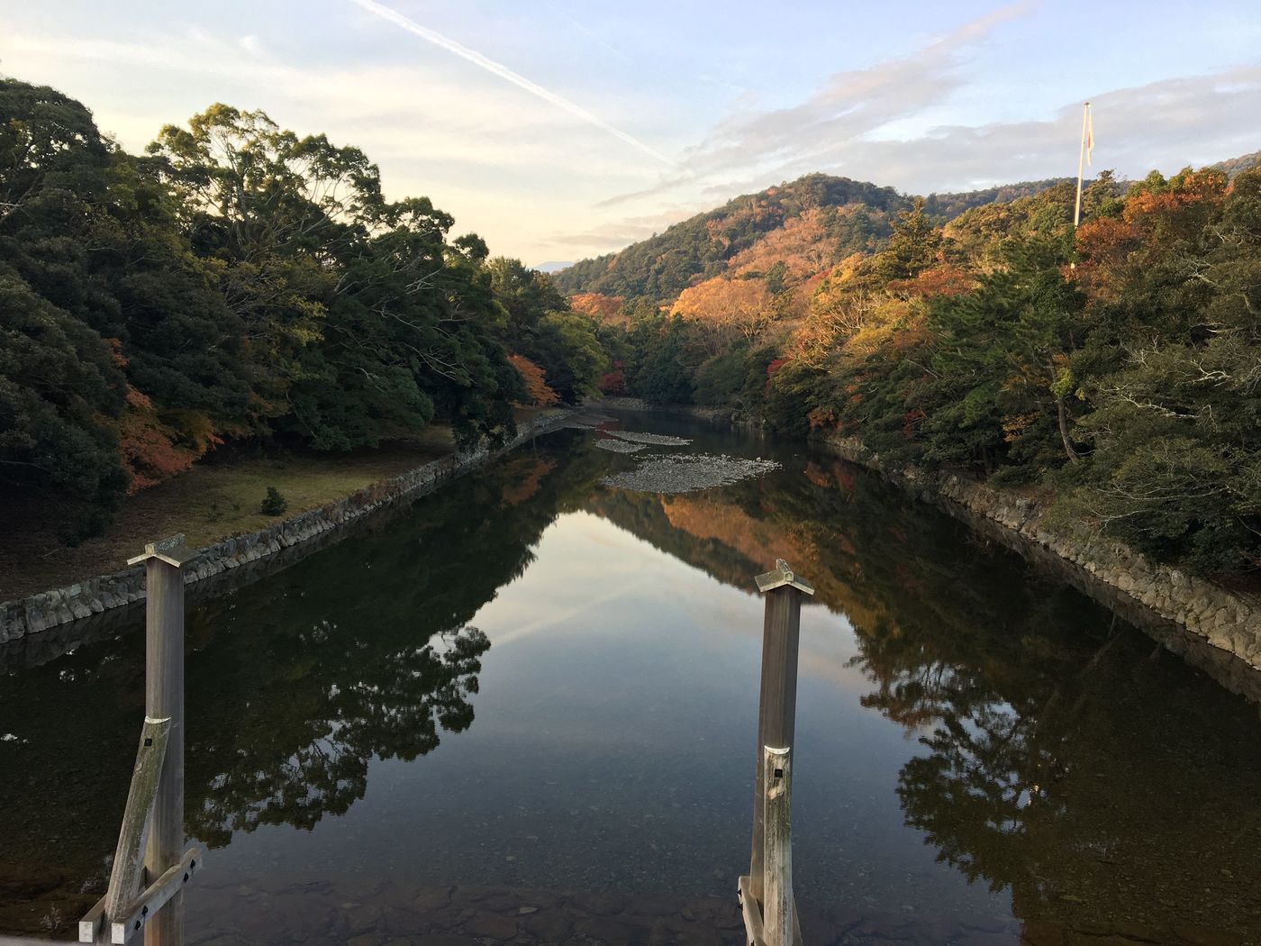 の画像