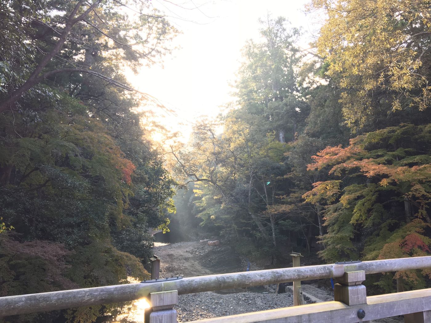の画像