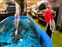 函館朝市の名物「イカ釣り」にチャレンジ！すぐに食べるところまで