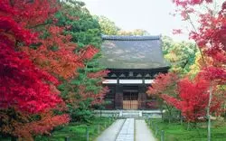 【2025】京都の紅葉穴場スポット8選！隠れた名所で混雑を回避