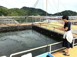 【香川】真鯛を釣ってハマチにエサやり♪引田の海上釣り堀