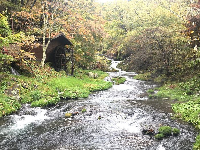 の画像