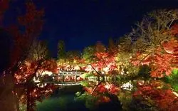 秋の京都の風物詩！紅葉ライトアップ見るなら名所の「永観堂」で♡
