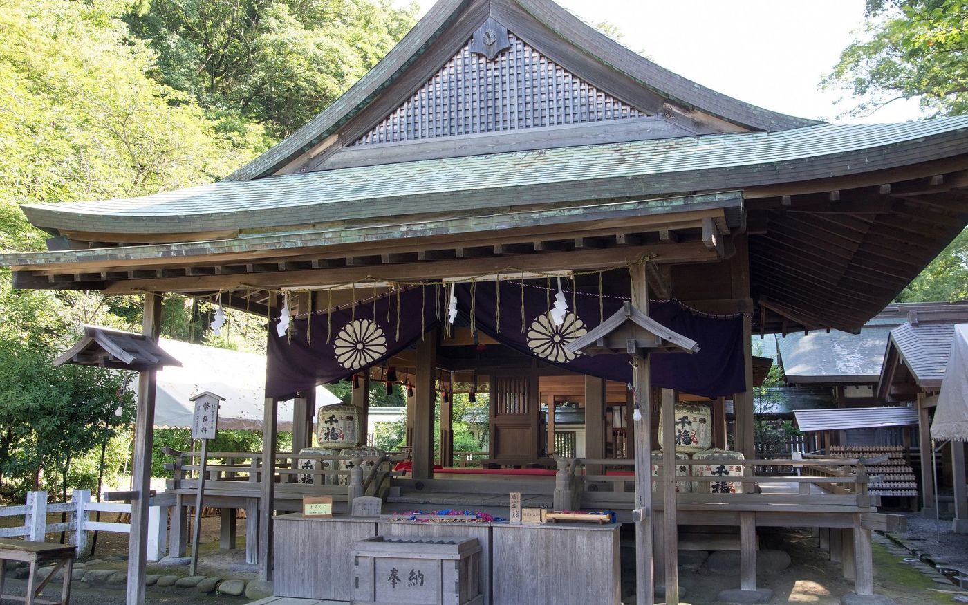 の画像