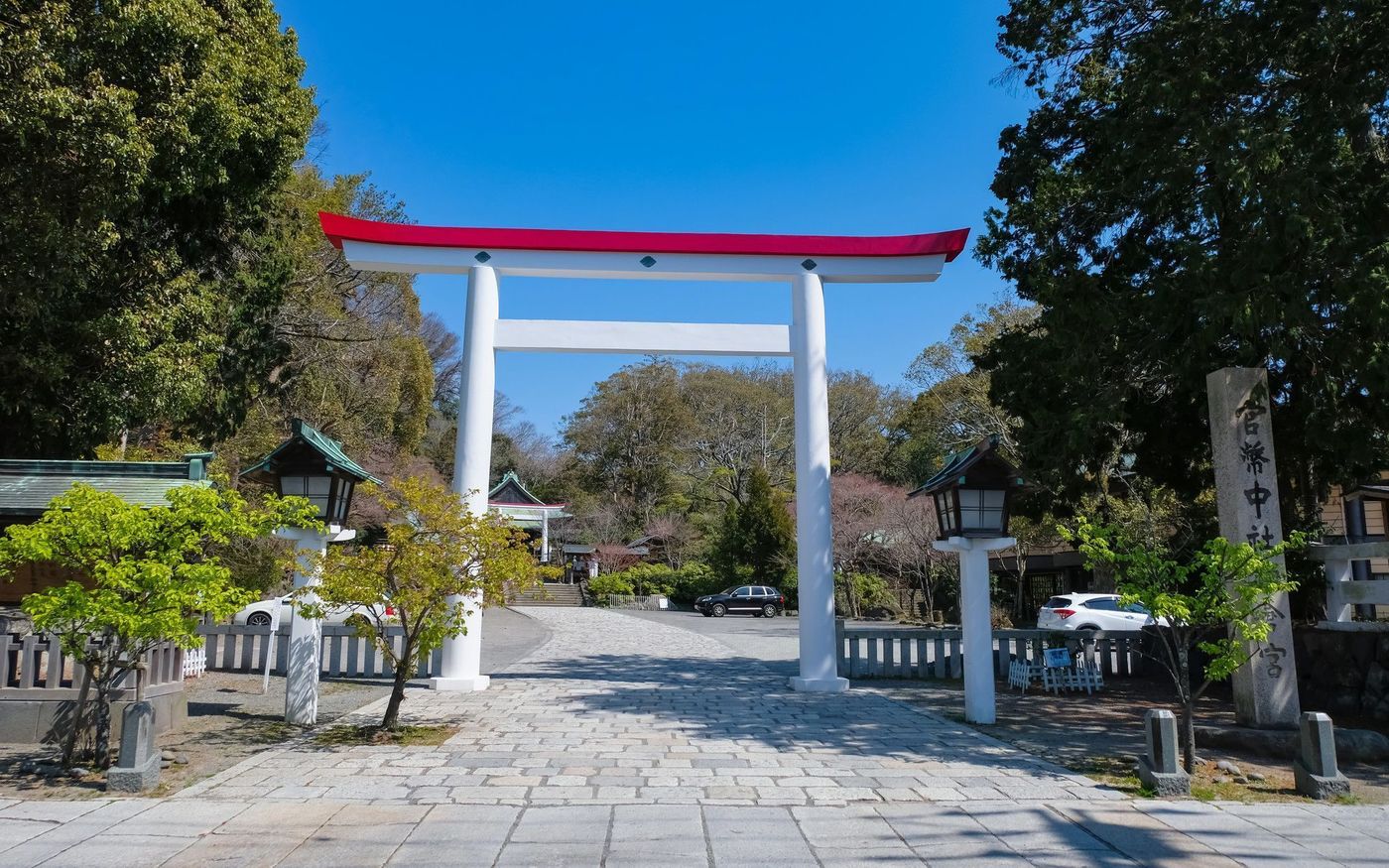 の画像
