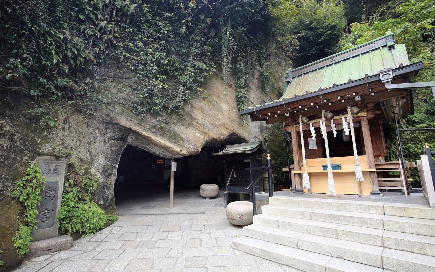 の画像