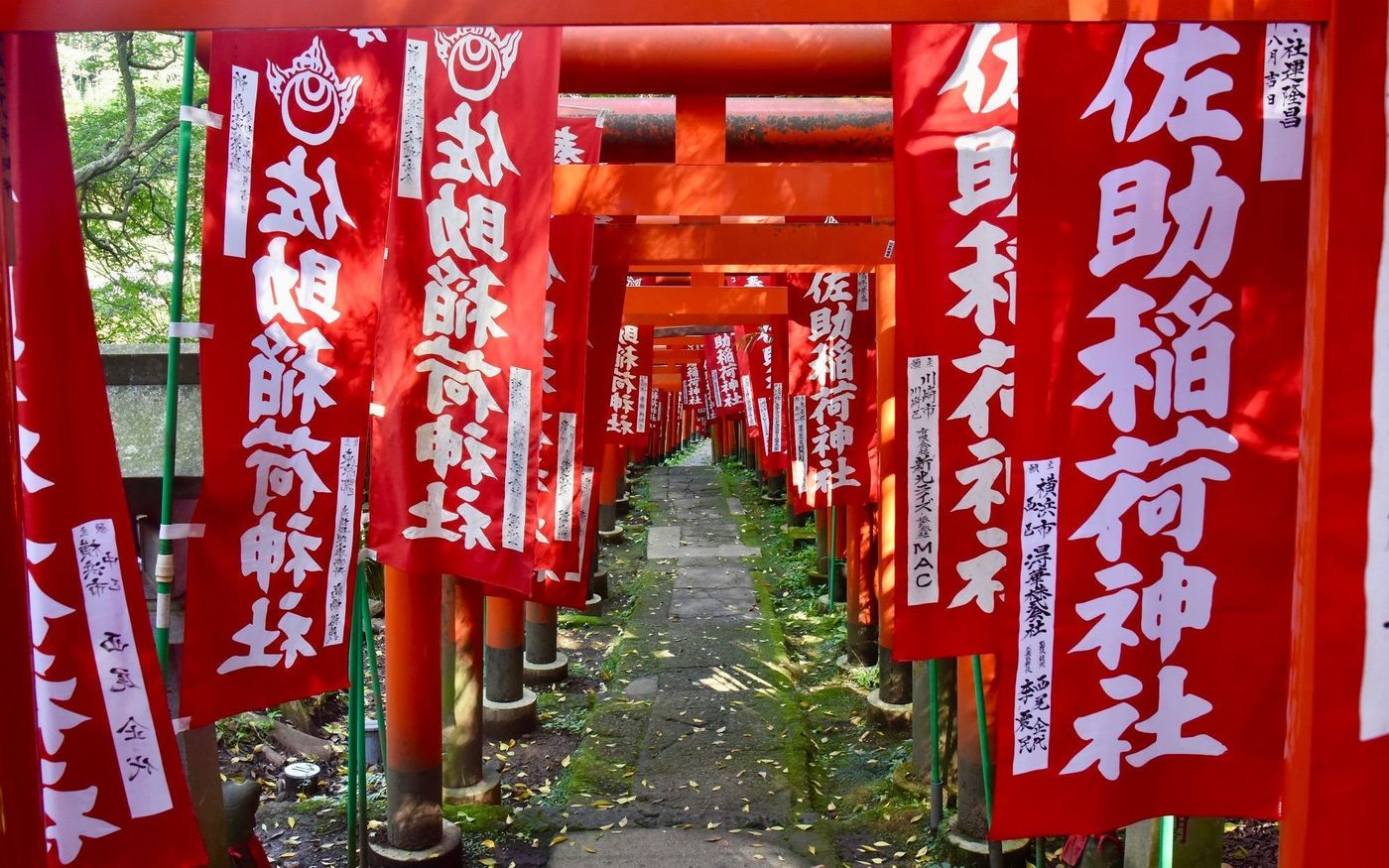 の画像
