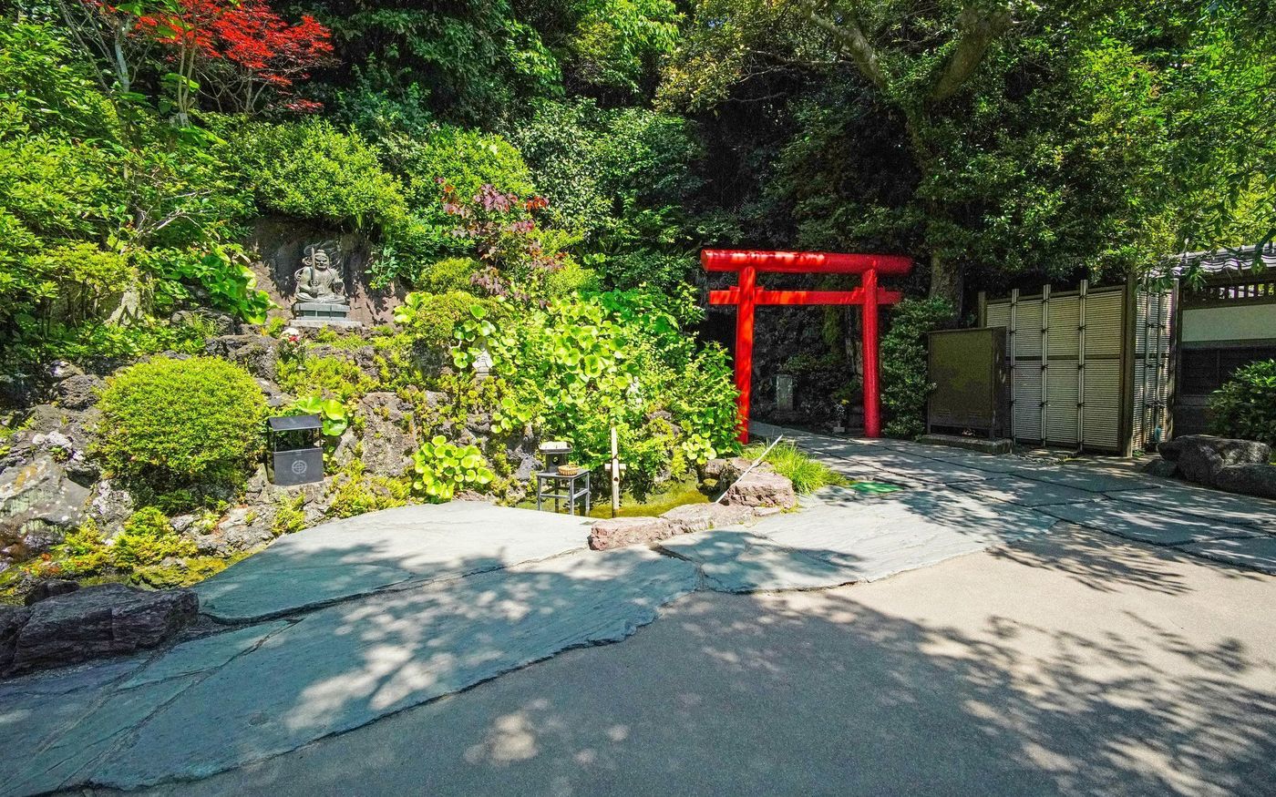 の画像