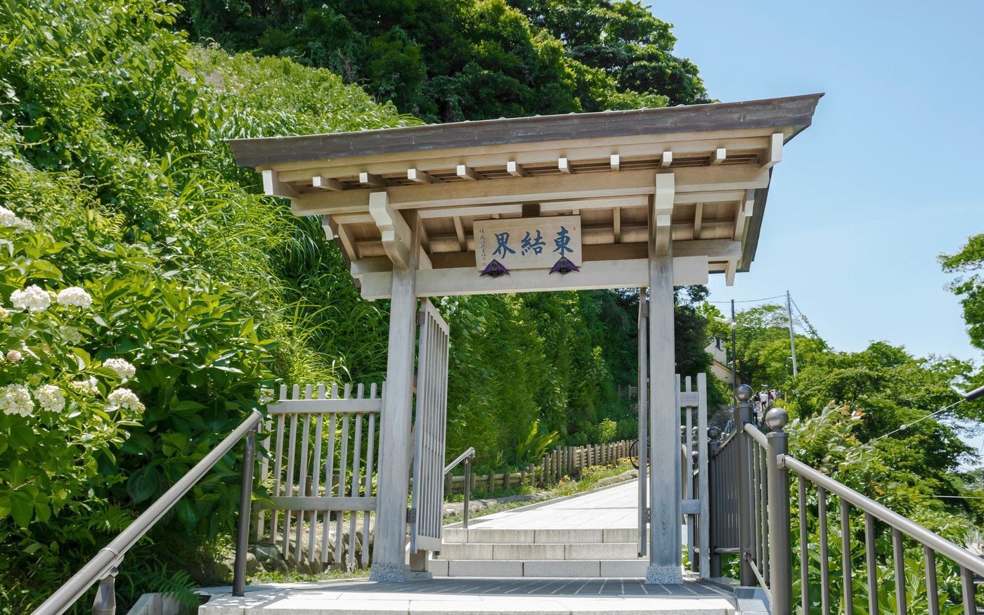 の画像