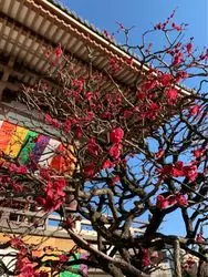 【足立】足立区の西新井大師、1200年の歴史を堪能しましょう