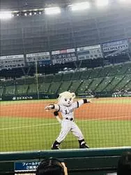 野球女子が語る！女子でも楽しめる野球観戦のすすめ☆