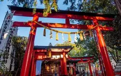 岐阜のおすすめ神社5選！パワースポットなど行くべき魅力がたくさん
