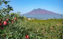 【青森の絶景】1度は行ってみたい！自然豊かな観光スポット10選