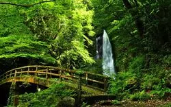 心揺さぶる絶景を！四国の滝で絶景・大自然を体験をしよう♪