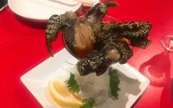 「珍獣屋」でジビエと昆虫食を食らう！予約必須の人気店へ潜入捜査