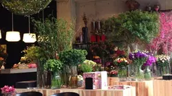 青山　ニコライバーグマンのカフェでお花見を楽しむ