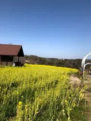 大阪で自然を楽しめる！ハーベストの丘