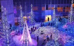 汐留で素敵なクリスマスを！イルミネーションやディナーをご紹介♡