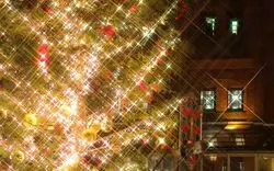 【2020】みなとみらいのクリスマス！マーケットやイベント情報も