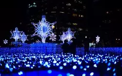 【2025】札幌と言えば！人気のホワイトイルミネーションを大特集