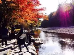 【伊勢】紅葉からグルメまで楽しめる！秋は「お伊勢さん」に行こう！