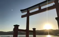 【2025‐2026】宮崎で初詣でするならここ！新年いいスタートを迎えよう